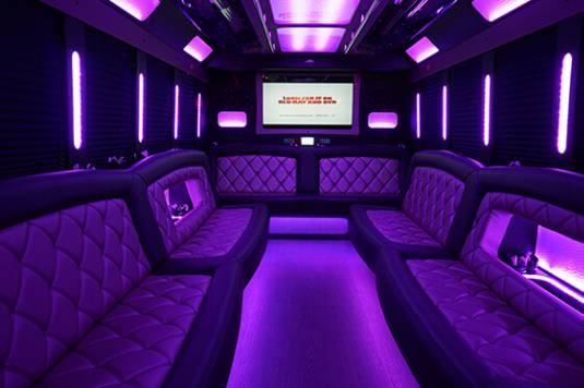 luxury bus with leather seats